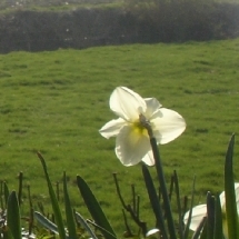 Charmehotel De stokerij te Oudenburg, West-Vlaanderen - Overnachten nabij Brugge, Oostende en De Haan